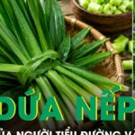 Loại lá rẻ tiền bán đầy chợ được ví như trợ thủ của người tiểu đường và mất ngủ