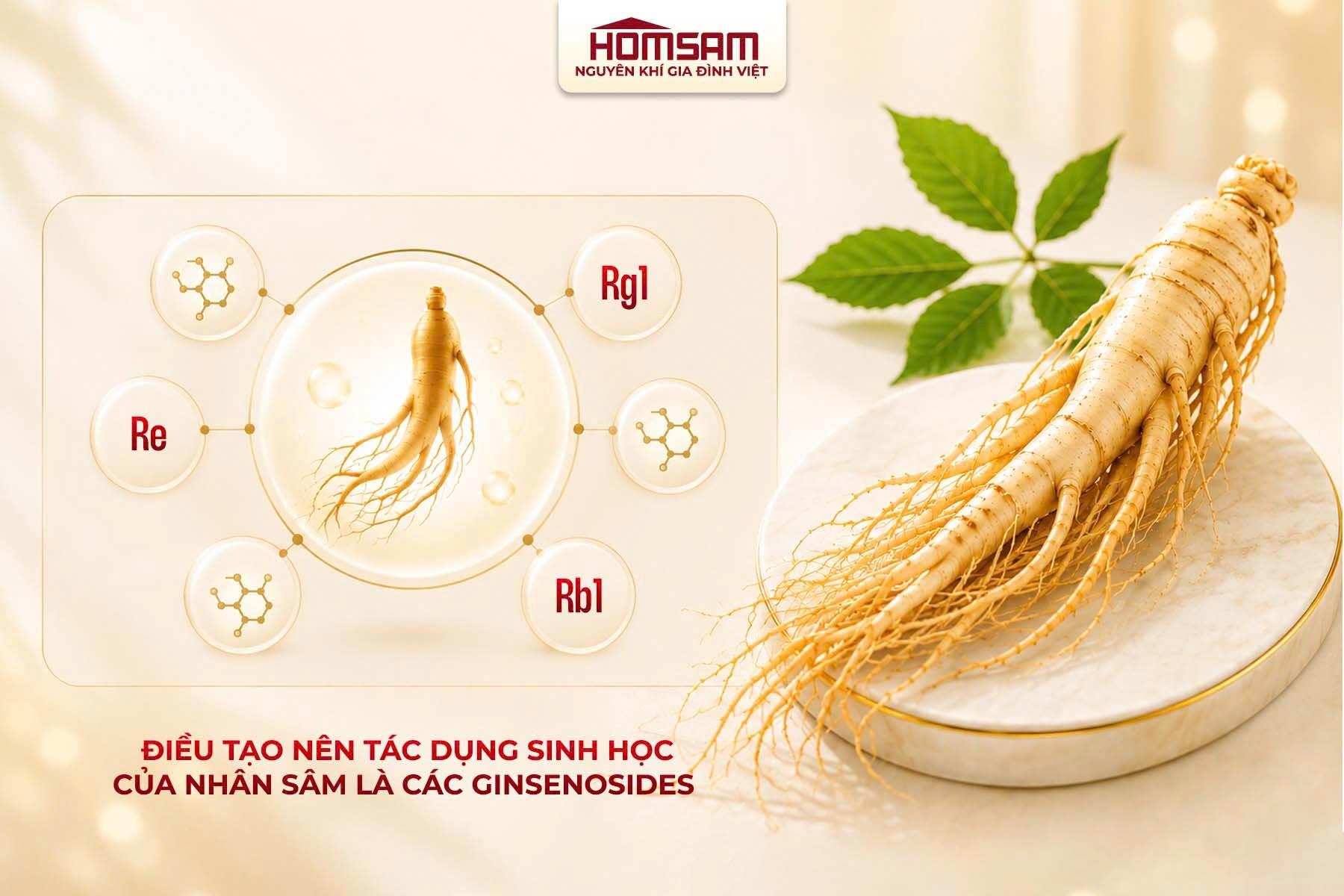 2-1780989440778217357881 Homsam, nhân sâm đăng ký dạng thuốc- Ảnh 2.