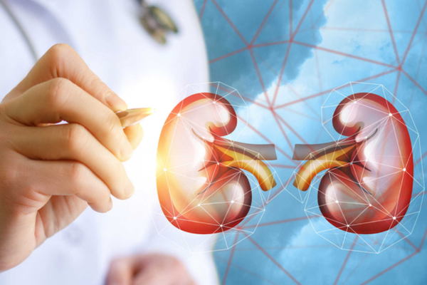 Suy thận cấp có điều trị được không, cách phòng bệnh hiệu quả?