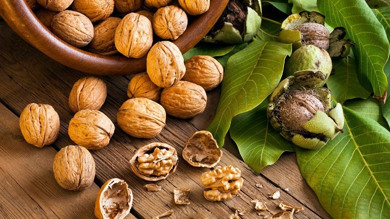 8 thực phẩm giúp hỗ trợ bồi bổ dương khí theo y học cổ truyền - Ảnh 2.