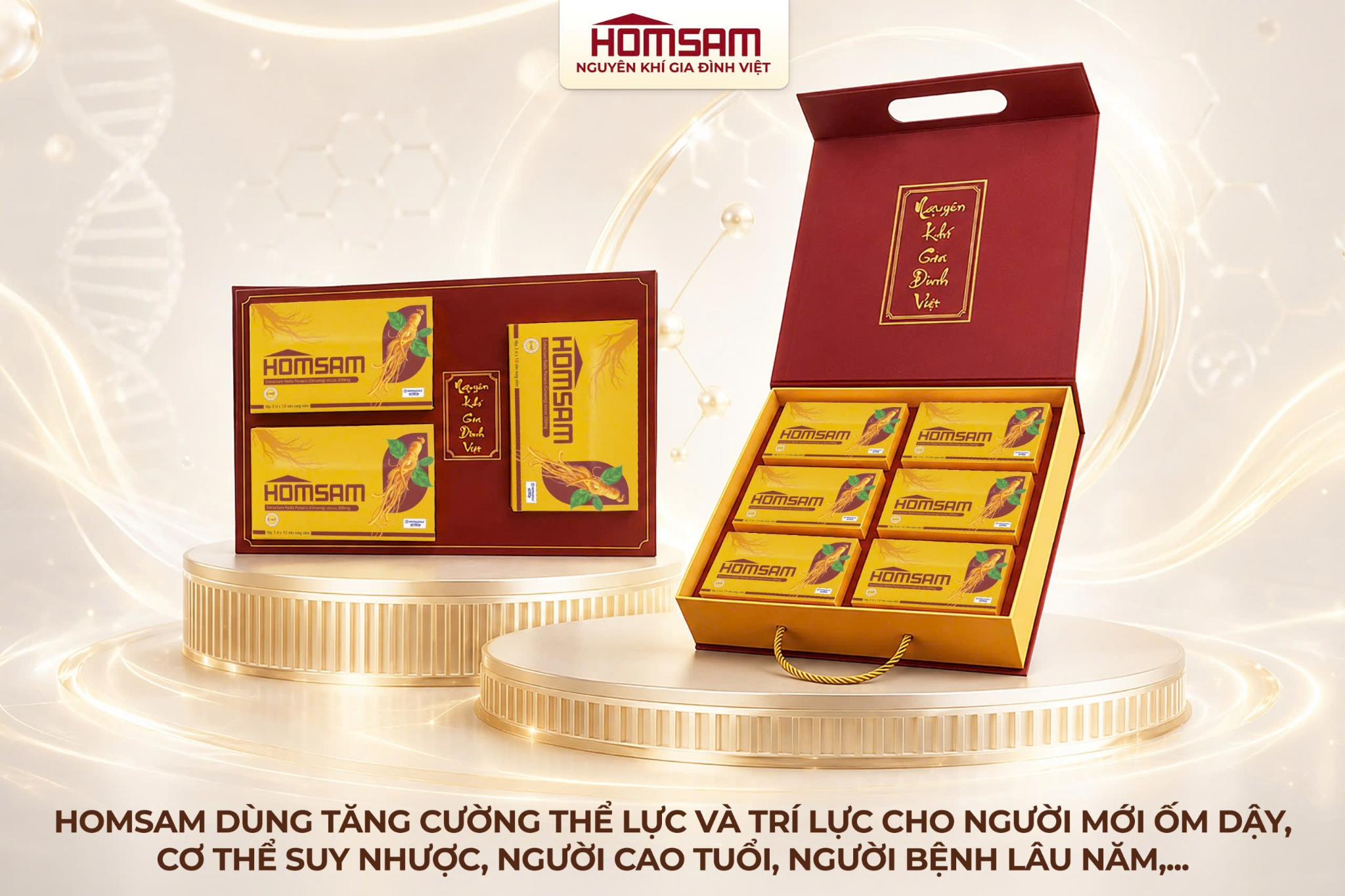 4-1780989440277875500942 Homsam, nhân sâm đăng ký dạng thuốc- Ảnh 4.