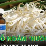 Giá đỗ ngâm hóa chất tuồn ra thị trường nguy hại sức khỏe thế nào?