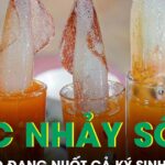 Món ‘mực nhảy sống’ sốt mạng xã hội, chuyên gia cảnh báo đang nuốt cả ký sinh trùng