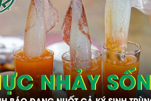 Món ‘mực nhảy sống’ sốt mạng xã hội, chuyên gia cảnh báo đang nuốt cả ký sinh trùng