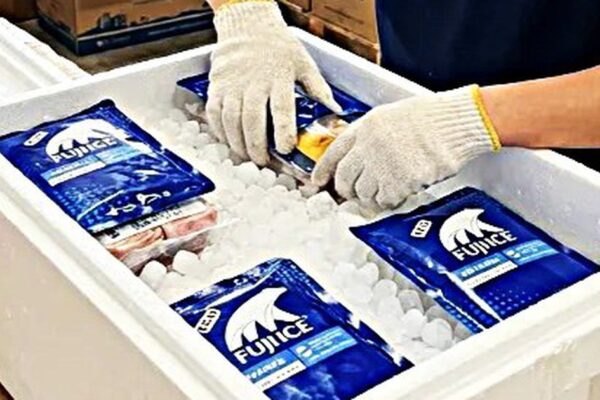Mang đá khô bảo quản thực phẩm đi máy bay cần đặc biệt lưu ý quy định này
