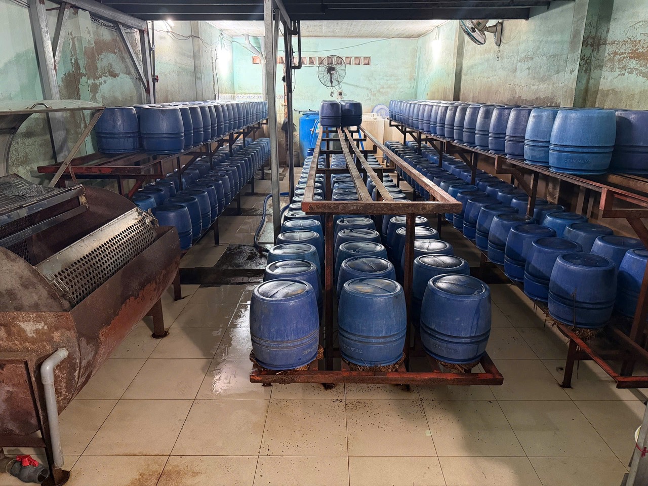 c095970cb13f3061692e-1780304696415585592842 Hơn 1.000 tấn giá đỗ ngâm 'nước kẹo' tuồn vào các chợ, quán ăn ở Bình Thạnh, Gò Vấp cũ- Ảnh 6.