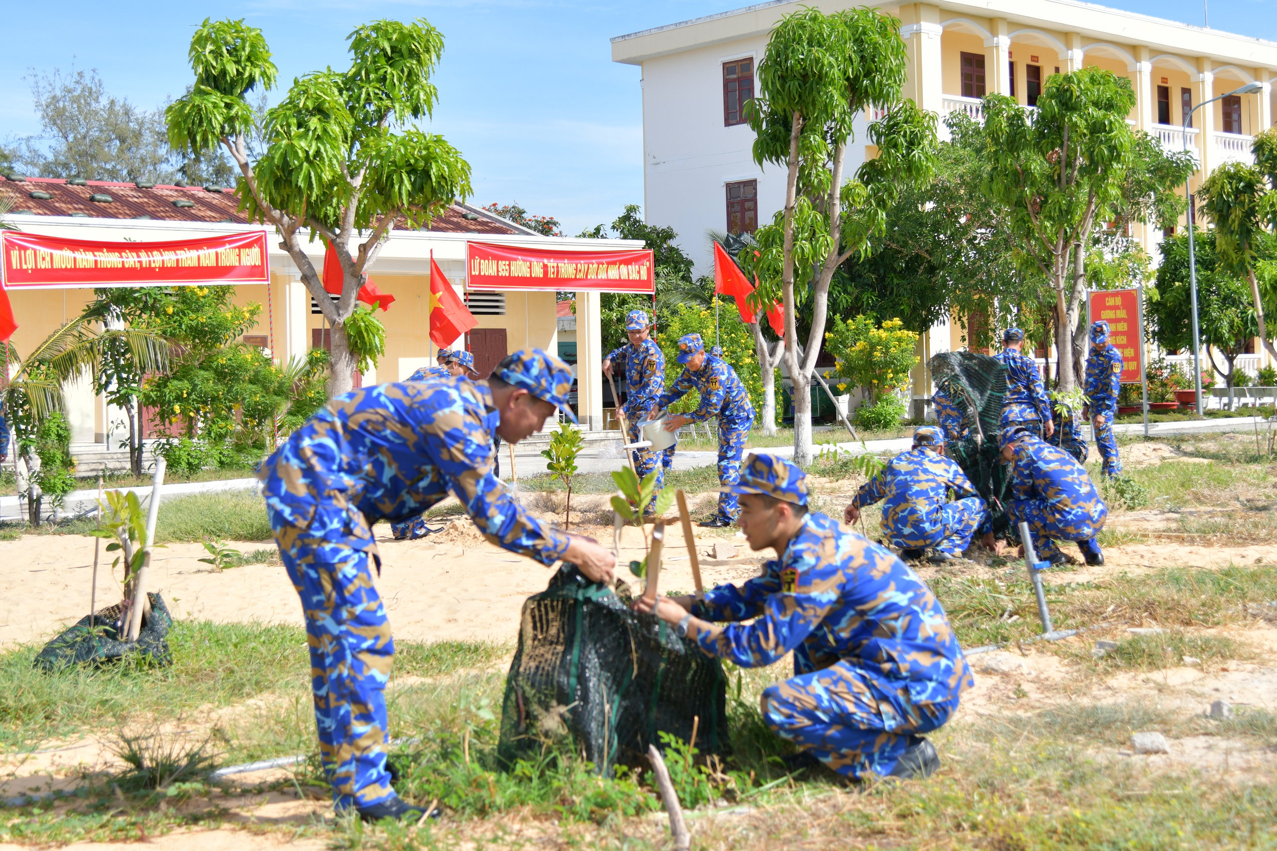 can-bo-chien-si-hang-hai-huong-ung-tet-trong-cay-17791928003201129476712 Lữ đoàn 955 phát động 'Tết trồng cây đời đời nhớ ơn Bác Hồ'- Ảnh 3.