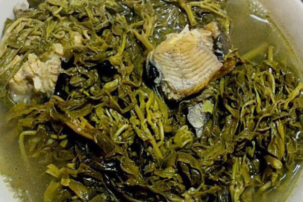 Lá sắn – nguyên liệu ẩm thực dân dã, giàu dinh dưỡng và lưu ý quan trọng khi chế biến