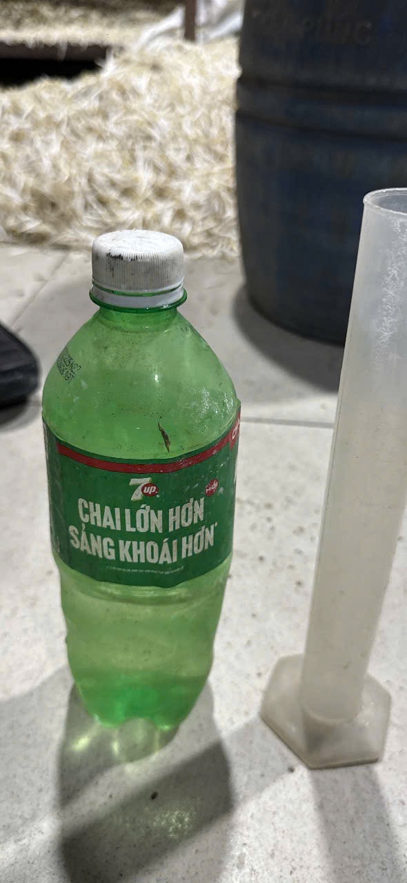 cd269046b575342b6d64-1780304696518721016910 Hơn 1.000 tấn giá đỗ ngâm 'nước kẹo' tuồn vào các chợ, quán ăn ở Bình Thạnh, Gò Vấp cũ- Ảnh 3.
