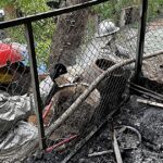 Hình ảnh hiện trường vụ cháy căn hộ khu tập thể B1 Nguyễn Công Trứ, Hà Nội