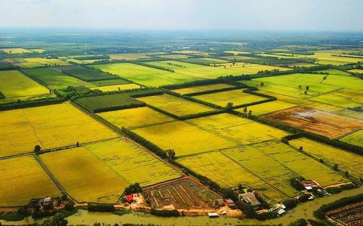 Hộ gia đình, cá nhân xin cấp sổ đỏ lần đầu ở đâu?- Ảnh 2.