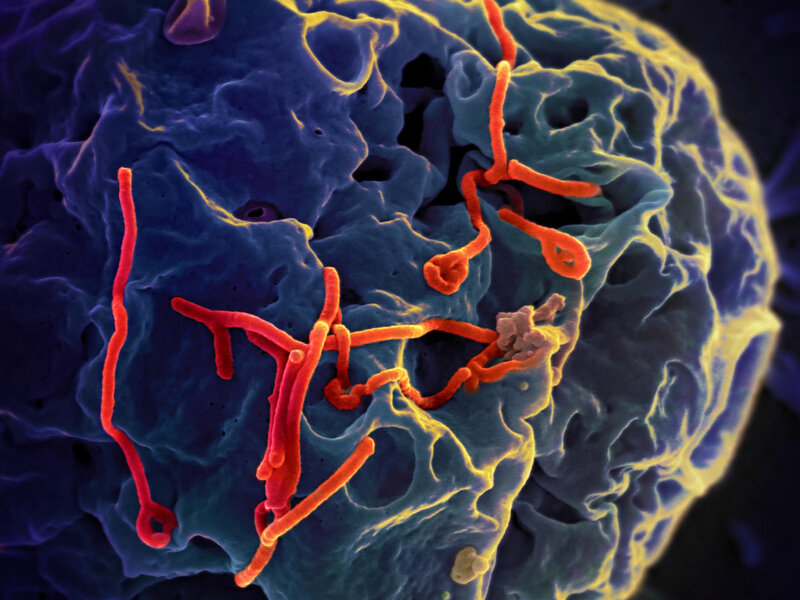 ebola-17794183223342073006631-17806487105941912121872 Chuyên gia nói gì về nguy cơ Ebola bùng phát thành đại dịch toàn cầu?- Ảnh 2.