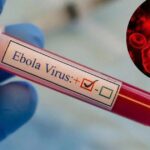 WHO cảnh báo khẩn về Ebola, Bộ Y tế yêu cầu tăng cường giám sát, ngăn dịch xâm nhập
