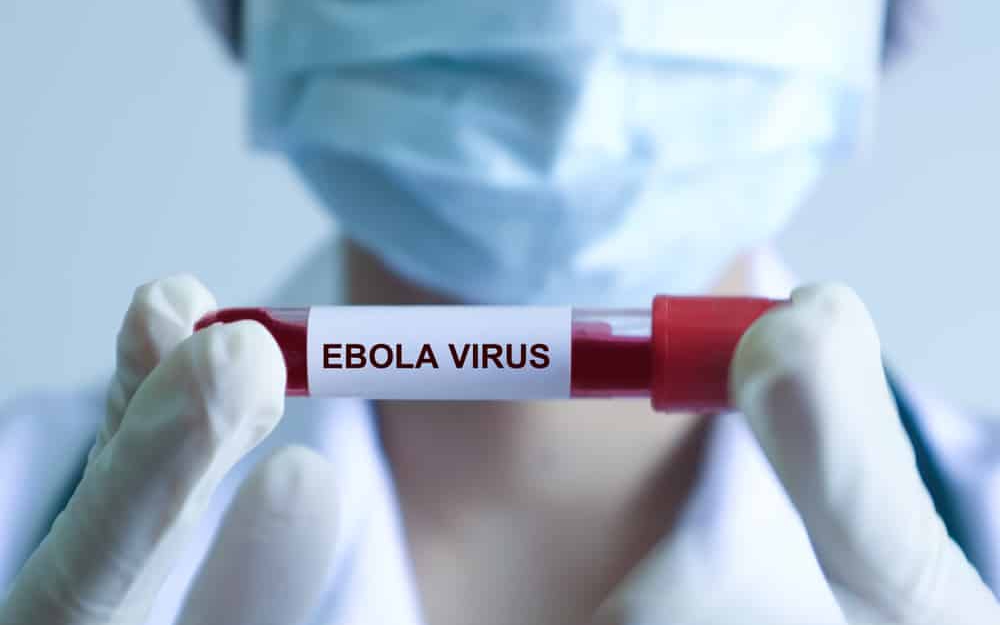 WHO cảnh báo khẩn cấp về Ebola, Bộ Y tế họp trực tuyến toàn quốc về giám sát, phòng chống dịch- Ảnh 4.