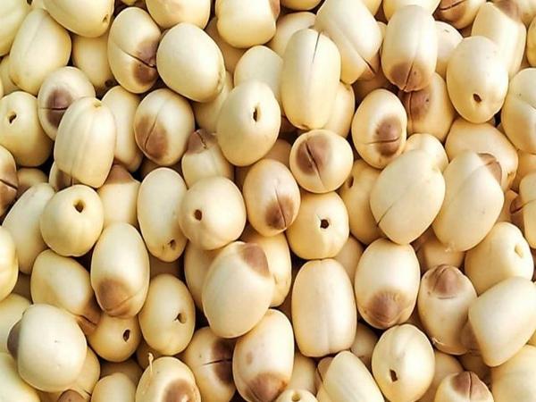 5 món ăn bài thuốc từ hạt sen giúp an thần, dưỡng tâm, bồi bổ cơ thể - Ảnh 1.