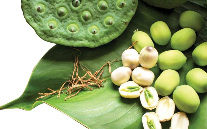 Ăn hạt sen hàng ngày có tốt không?