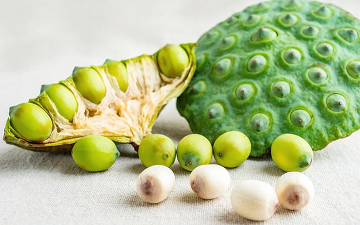 Trà tâm sen – hỗ trợ cải thiện giấc ngủ nhưng ai không nên dùng?- Ảnh 4.