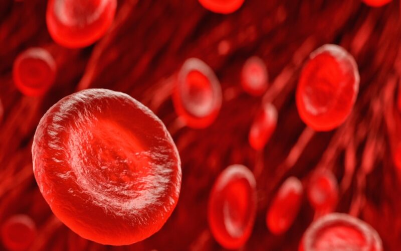 Phát hiện dấu tích cổ xưa hơn trong chính tế bào máu người