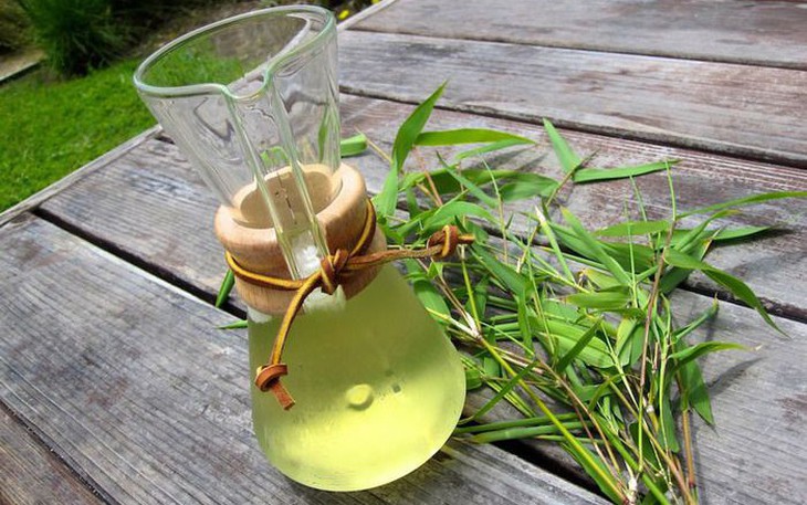 Bài thuốc chữa bệnh từ lá tre
