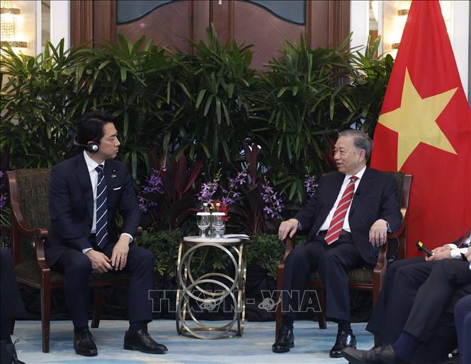 Tổng Bí thư, Chủ tịch nước Tô Lâm tiếp Bộ trưởng Quốc phòng Nhật Bản- Ảnh 2.