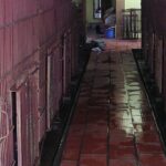 Kêu gọi đưa toàn bộ gấu nuôi nhốt ở Phúc Thọ, Hà Nội vào trung tâm cứu hộ