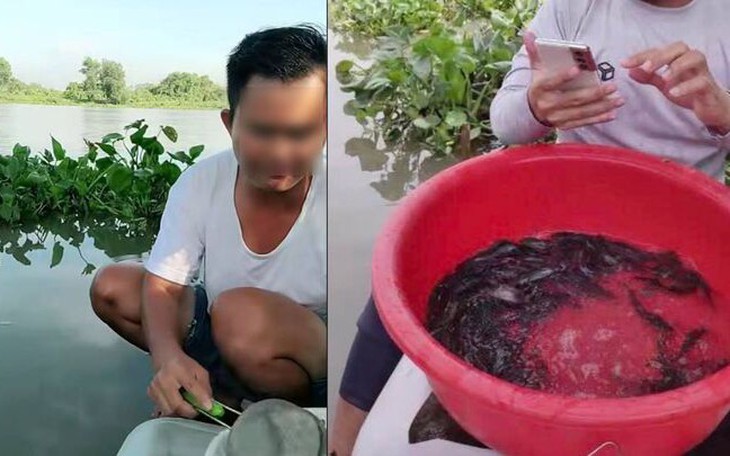 Kêu gọi đưa toàn bộ gấu nuôi nhốt ở Phúc Thọ, Hà Nội vào trung tâm cứu hộ- Ảnh 2.