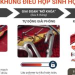 Khung điều hợp sinh học chứng minh giảm vượt trội tỷ lệ biến cố tim mạch sau 4 năm – kết quả nghiên cứu mới được công bố tại Hội nghị Tim mạch Châu Âu 2026