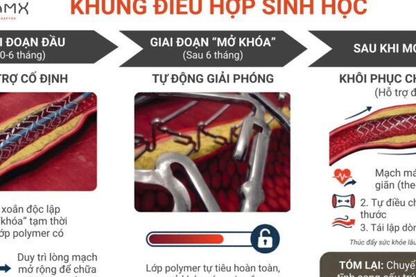 Khung điều hợp sinh học chứng minh giảm vượt trội tỷ lệ biến cố tim mạch sau 4 năm – kết quả nghiên cứu mới được công bố tại Hội nghị Tim mạch Châu Âu 2026