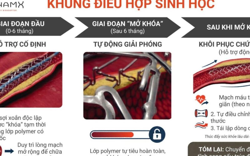 Khung điều hợp sinh học chứng minh giảm vượt trội tỷ lệ biến cố tim mạch sau 4 năm – kết quả nghiên cứu mới được công bố tại Hội nghị Tim mạch Châu Âu 2026