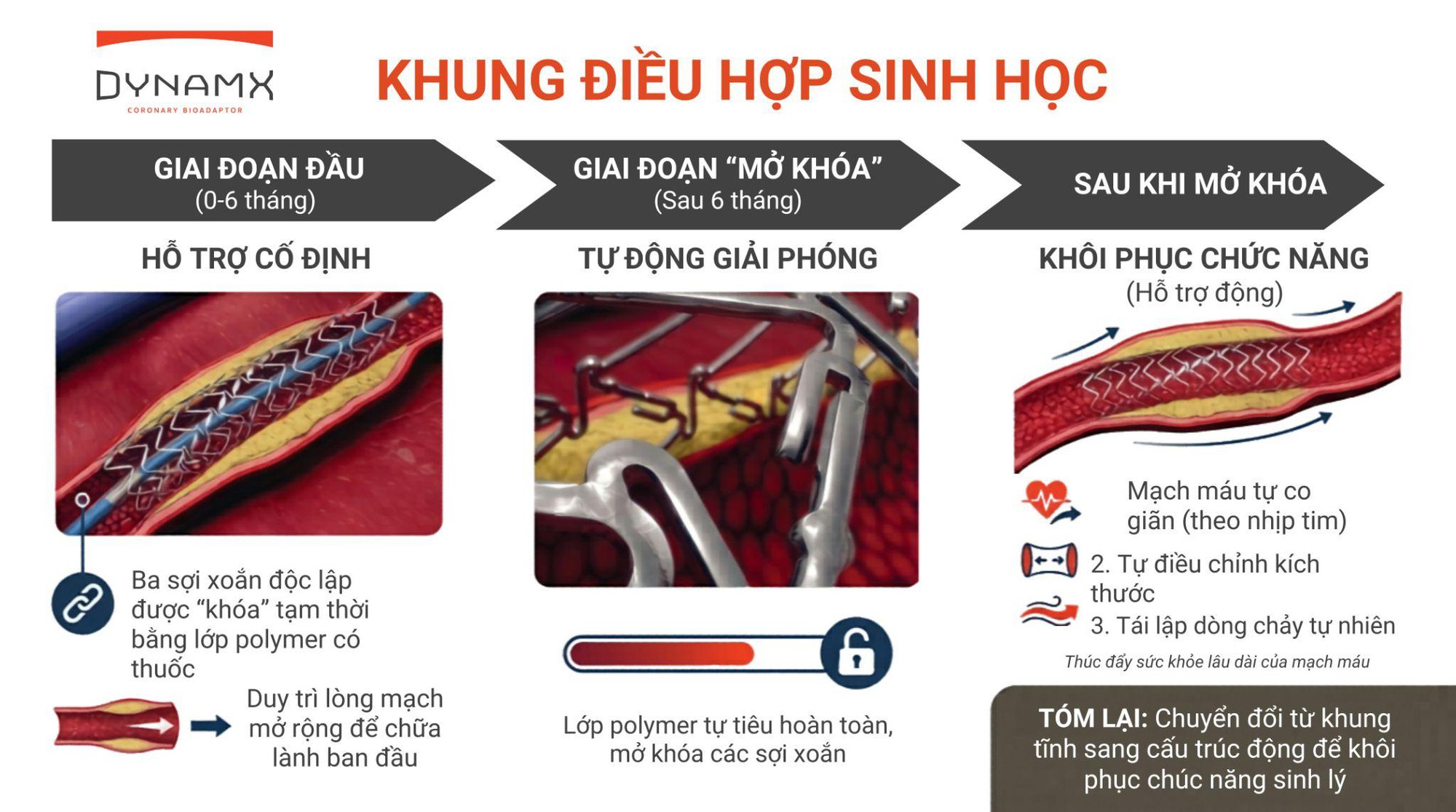 Khung điều hợp sinh học chứng minh giảm vượt trội tỷ lệ biến cố tim mạch sau 4 năm - kết quả nghiên cứu mới được công bố tại Hội nghị Tim mạch Châu Âu 2026- Ảnh 2.