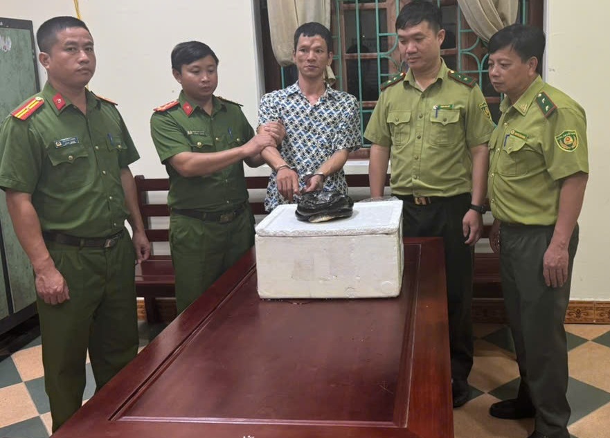 Mua rắn hổ chúa để sử dụng, người đàn ông bị khởi tố- Ảnh 1.