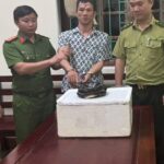 Mua rắn hổ chúa để sử dụng, người đàn ông bị khởi tố
