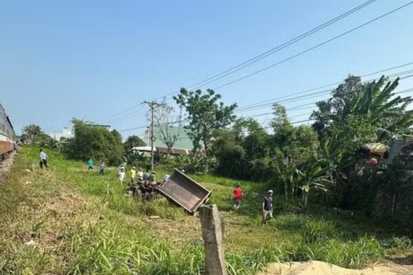 Kịp thời phát hiện cây đổ chắn đường sắt, tàu khách dừng khẩn cấp