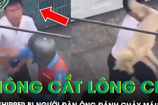 Từ chối cắt lông chó, nam shipper bị người đàn ông đánh chảy máu miệng ở TPHCM