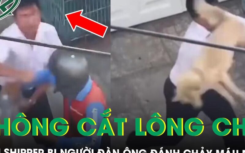 Từ chối cắt lông chó, nam shipper bị người đàn ông đánh chảy máu miệng ở TPHCM