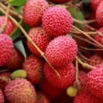 4 nhóm người không nên ăn nhiều quả vải