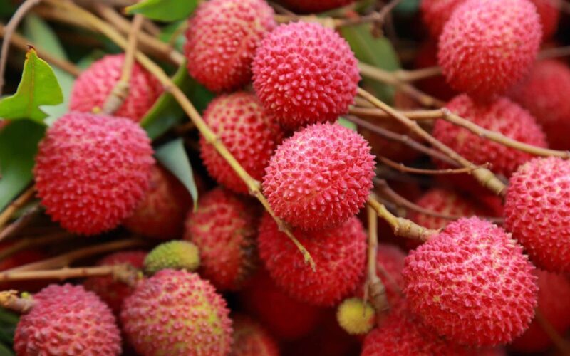 4 nhóm người không nên ăn nhiều quả vải