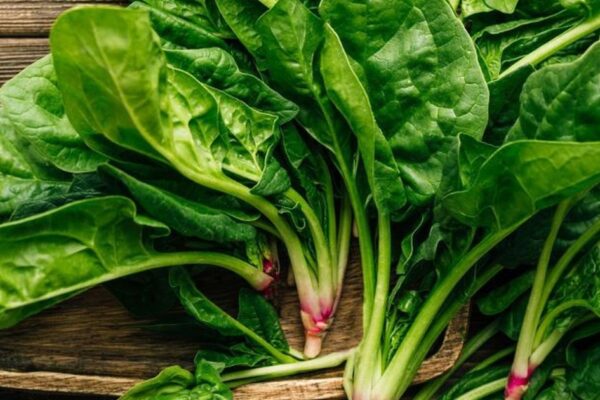 7 thực phẩm giàu magie hỗ trợ giảm cân hiệu quả