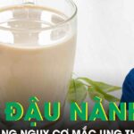 Uống sữa đậu nành có làm tăng nguy cơ mắc ung thư vú?
