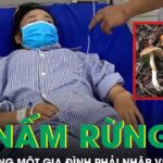 Ăn nấm rừng, 4 người trong một gia đình phải nhập viện cấp cứu