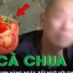 Ăn cà chua suốt 1 năm, người đàn ông 58 tuổi bất ngờ với kết quả khám bệnh