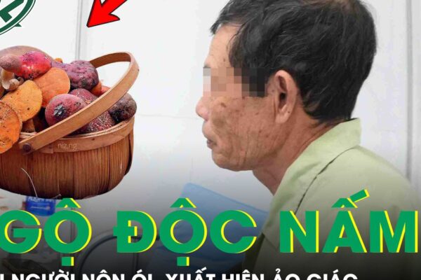 Nhiều người ngộ độc, ảo giác vì ăn món đặc sản quen thuộc