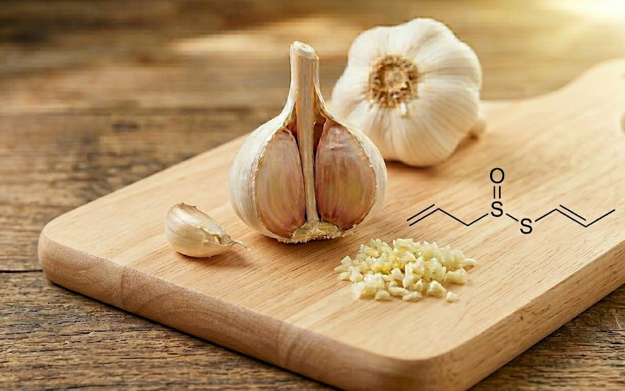 10 lợi ích của tỏi đã được chứng minh - Ảnh 3.