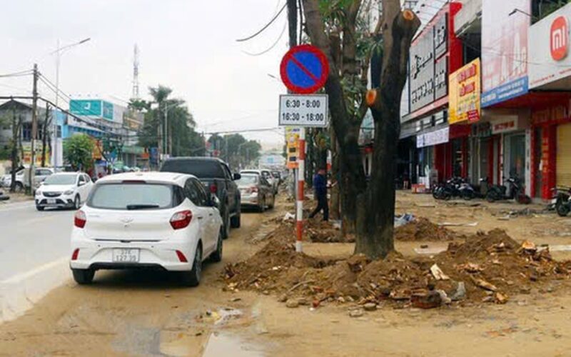 Đề nghị truy tố vắng mặt Chủ tịch công ty cây xanh Công Minh