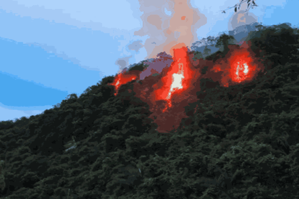 Cháy rừng Cúc Phương do sét đánh