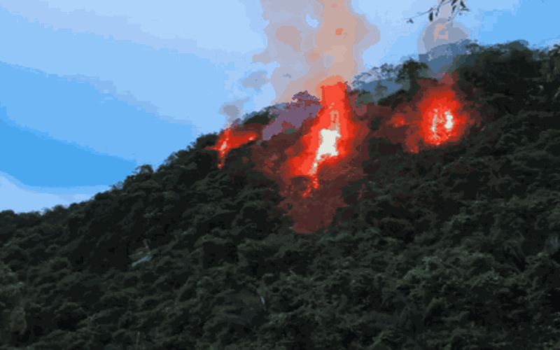 Cháy rừng Cúc Phương do sét đánh