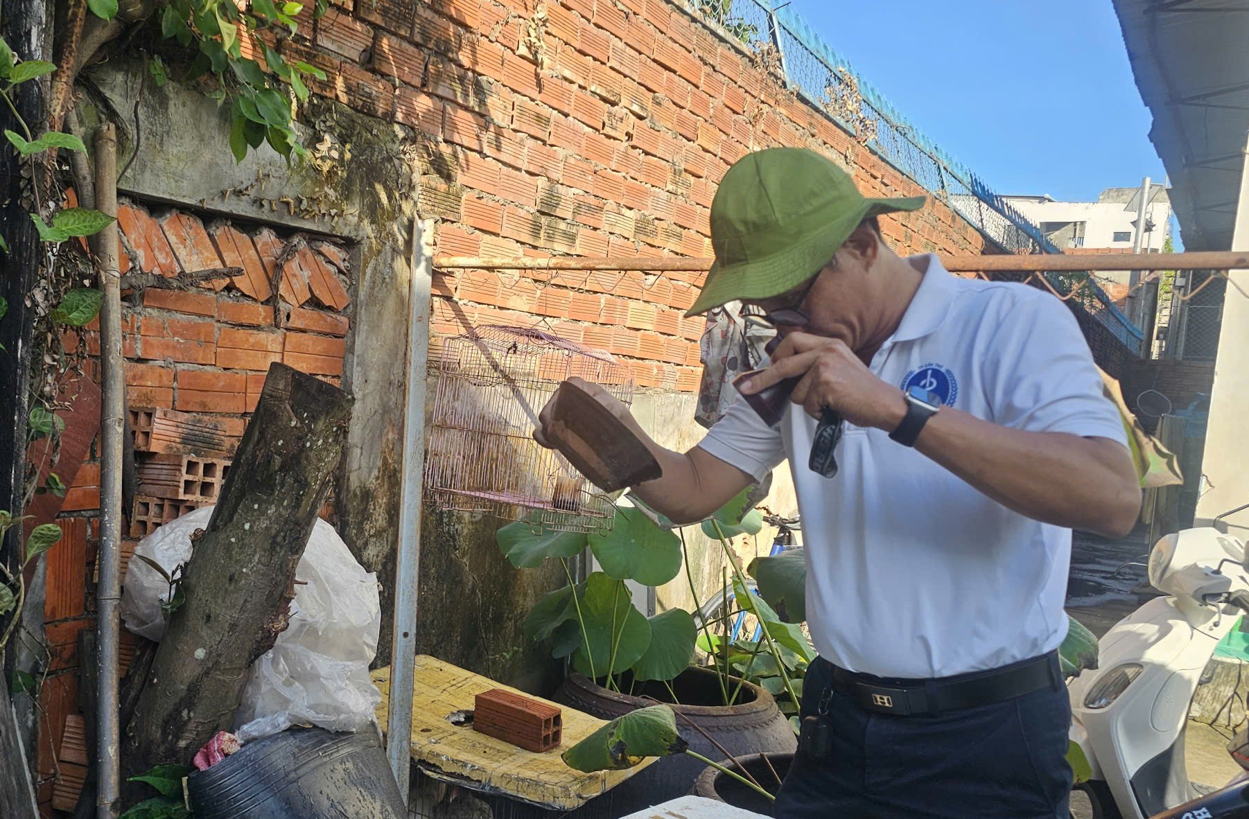 Số ca sốt xuất huyết ở Cần Thơ ghi nhận vẫn ở mức cao, ngành y tế khuyến cáo người dân chủ động diệt lăng quăng- Ảnh 1.
