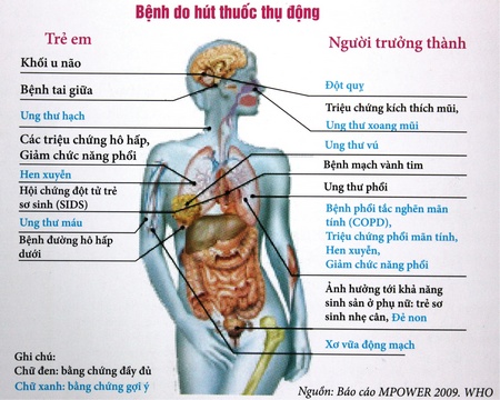Hơn 48 % phụ nữ Việt thường xuyên tiếp xúc với khói thuốc thụ động độc hại tại nhà- Ảnh 2.