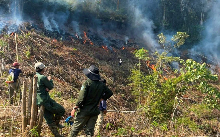 Cháy rừng Cúc Phương do sét đánh- Ảnh 1.