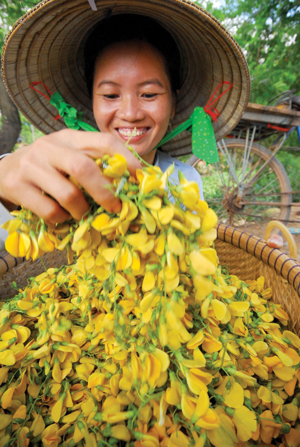4 món ngon từ bông điên điển - Ảnh 2.